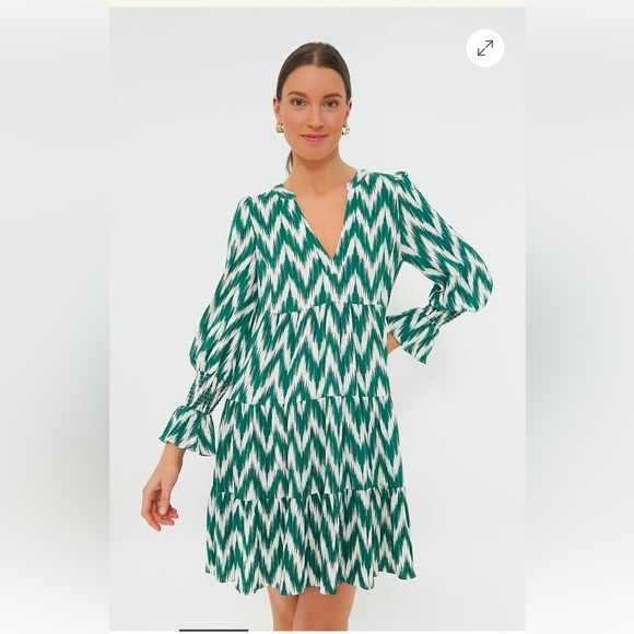 Tuckernuck Dresses & Skirts - Tuckernuck Pommander Place Ikat Kenzo Long Sleeve V-Neck Mini Dress XXL